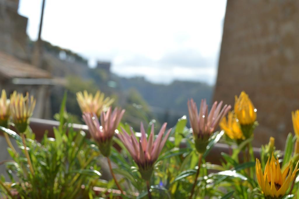 Casa Dei Lavatoi Pitigliano Apartman Kültér fotó