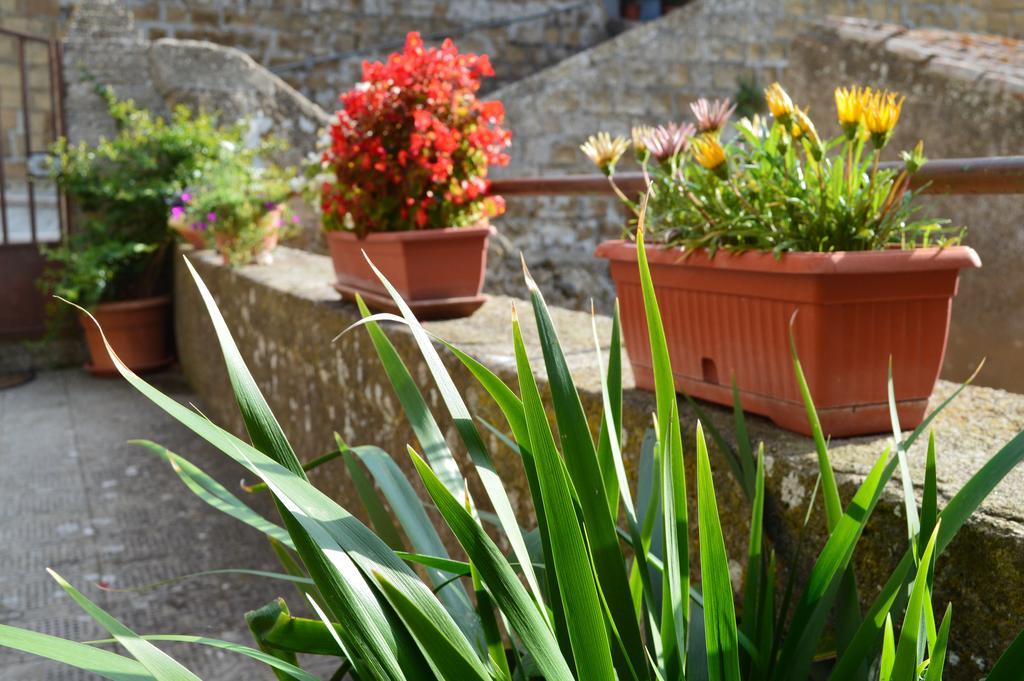 Casa Dei Lavatoi Pitigliano Apartman Kültér fotó
